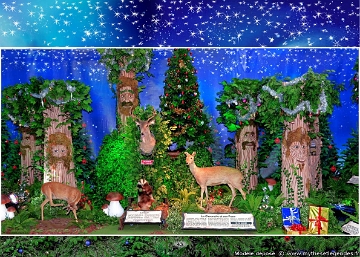 (43) - Father Christmas Forest